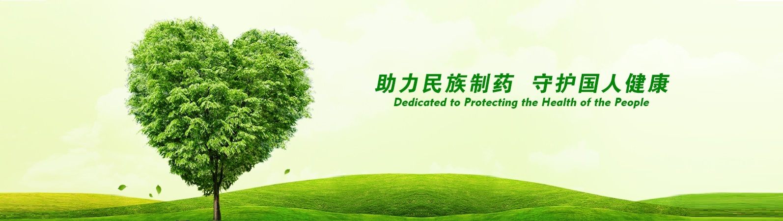 banner banner